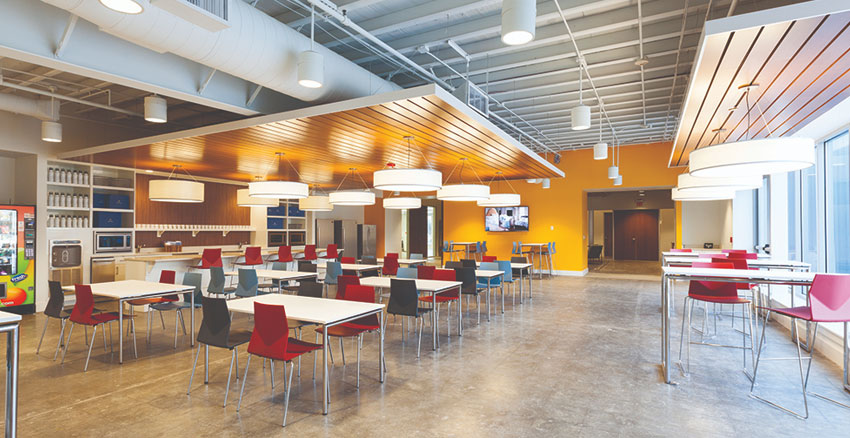 Why Your Workplace Needs A Picnic Table