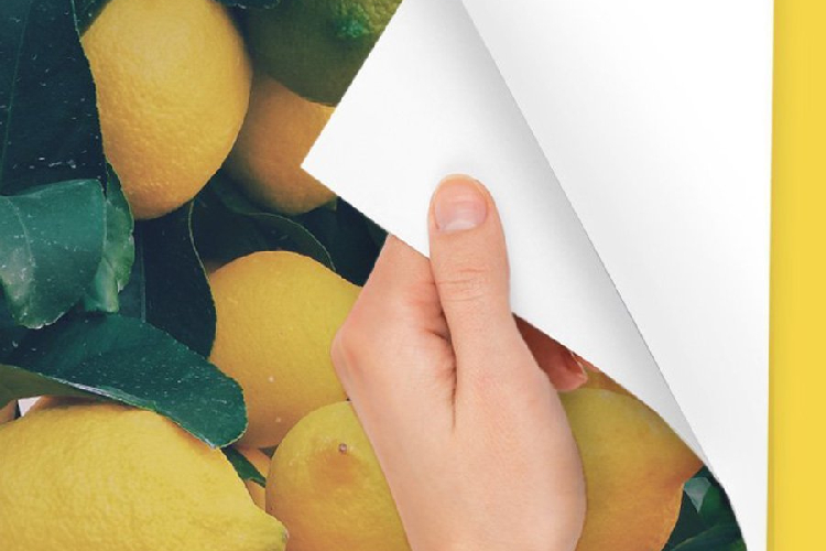 peel and stick posters