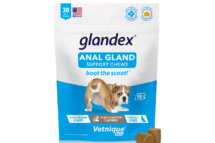 chewable pumpkin digestive supplement for dogs