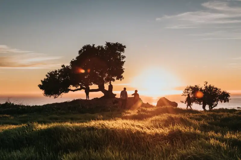 Exploring The Best Areas: Land In Arizona For Sale